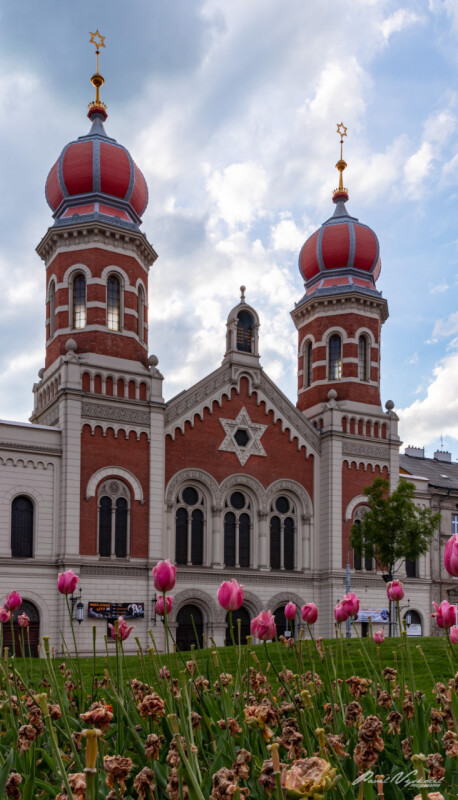 Synagoga Plzeň
